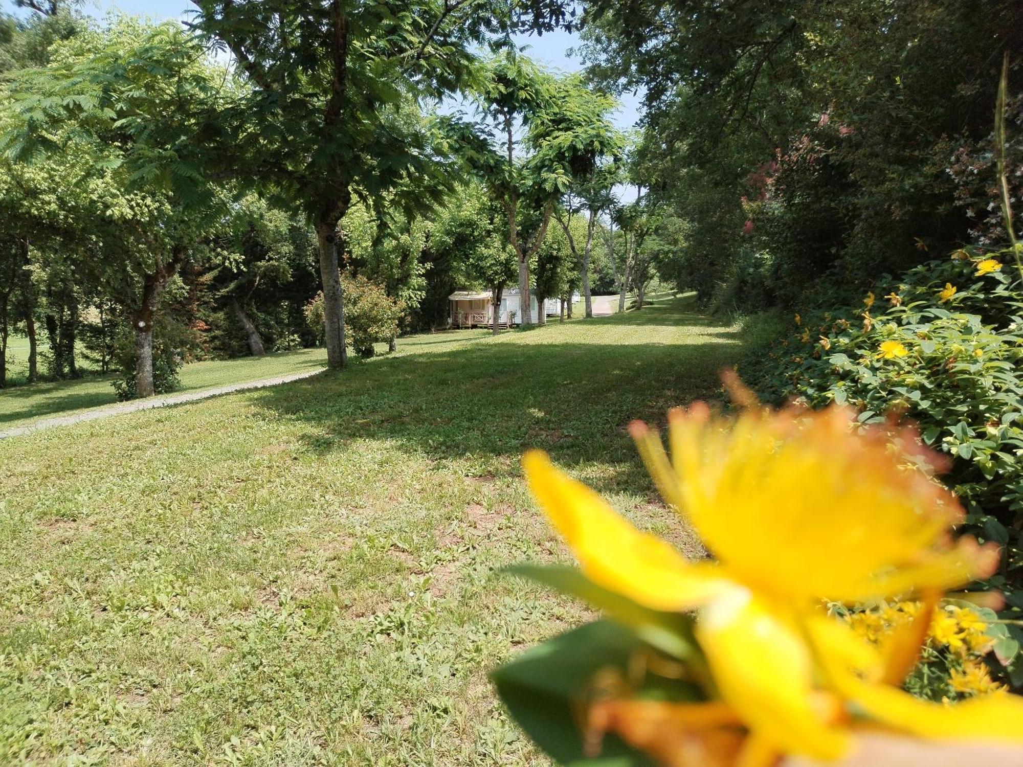 Camping Nature Le Valenty Mobil-Home-Dordogne Panoramique Clim Piscine Soturac ภายนอก รูปภาพ